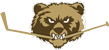 Chiemsee Grizzlys